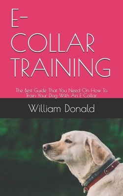 E-Collar Training: The Best Guide That You Need On How To Train Your Dog With An E-Collar