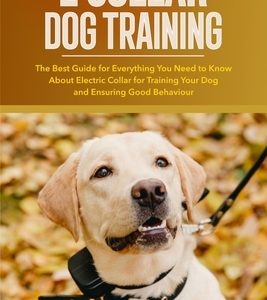 E Collar Dog Training: The Best Guide for Everything You Need to Know About Electric Collar for Training Your Dog and Ensuring Good Behaviour