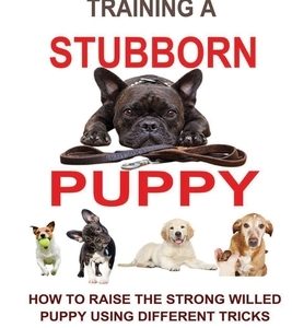 Training a Stubborn Puppy: How to Raise the Strong Willed Puppy Using Different Tricks