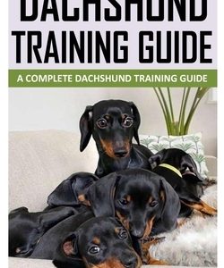 Dachshund Training Guide: A Complete Dachshund Training Guide