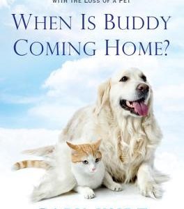 When Is Buddy Coming Home?