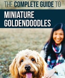 The Complete Guide to Miniature Goldendoodles: Learn Everything about Finding, Training, Feeding, Socializing, Housebreaking, and Loving Your New Mini