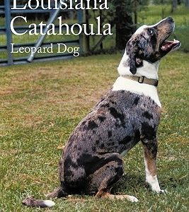 The Complete Louisiana Catahoula Leopard Dog