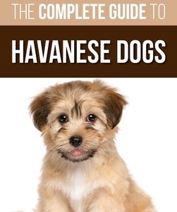 The Complete Guide to Havanese Dogs: Everything You Need To Know To Successfully Find, Raise, Train, and Love Your New Havanese Puppy