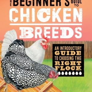 The Beginner's Guide to Chicken Breeds: An Introductory Guide to Choosing the Right Flock