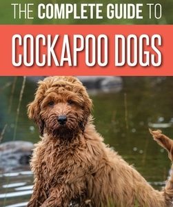 The Complete Guide to Cockapoo Dogs: Everything You Need to Know to Successfully Raise, Train, and Love Your New Cockapoo Dog