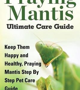 Praying Mantis Ultimate Care Guide