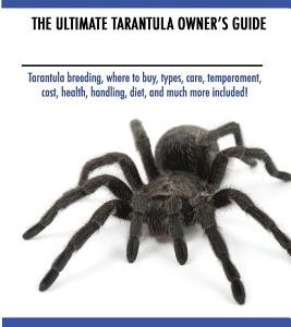 Tarantula Spiders As Pets: Tarantula breeding, where to buy, types, care, temperament, cost, health, handling, diet, and much more included! The