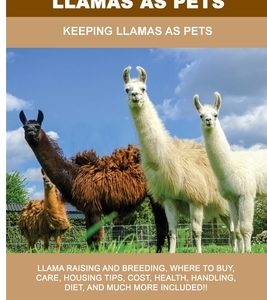 Llamas as Pets: Keeping Llamas As Pets