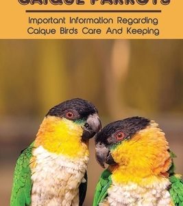 A Guidebook On Caique Parrots: Important Information Regarding Caique Birds Care And Keeping: Caique Parrots General Information