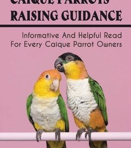 Caique Parrots Raising Guidance: Informative And Helpful Read For Every Caique Parrot Owners: The Health Care For Caique Parrots