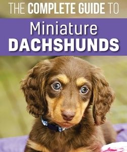 The Complete Guide to Miniature Dachshunds: A step-by-step guide to successfully raising your new Miniature Dachshund