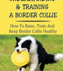 Understanding & Training A Border Collie: How To Raise, Train And Keep Border Collie Healthy: What To Do And What Not To Do To Train A Border Collie