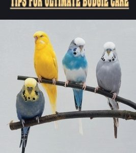Tips For Ultimate Budgie Care: Crucially Important Information Regarding Budgie Care And Keeping: How To Care For Budgerigars