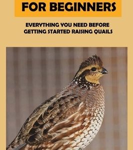 Quails Raising For Beginners: Everything You Need Before Getting Started Raising Quails: How To Equip A Quail Coop