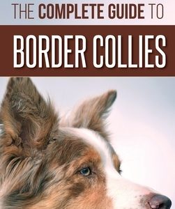 The Complete Guide to Border Collies: Training, teaching, feeding, raising, and loving your new Border Collie puppy