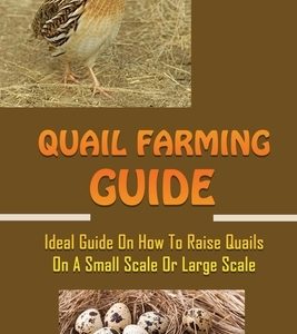 Quail Farming Guide: Ideal Guide On How To Raise Quails On A Small Scale Or Large Scale: How To Raise Quail For Meat
