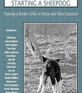 Top Trainers Talk about Starting a Sheepdog: Training a Border Collie on Sheep and Other Livestock