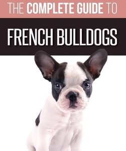 The Complete Guide to French Bulldogs: Everything you need to know to bring home your first French Bulldog Puppy