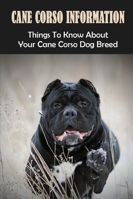 Cane Corso Information: Things To Know About Your Cane Corso Dog Breed: How To Discipline A Cane Corso