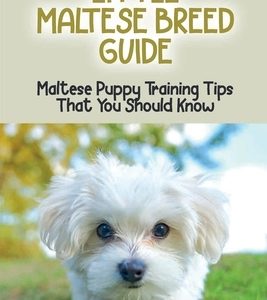 Little Maltese Breed Guide: Maltese Puppy Training Tips That You Should Know: How To Care For A Maltese Dog