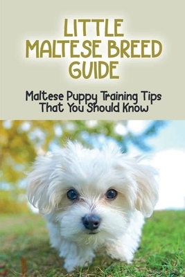 Little Maltese Breed Guide: Maltese Puppy Training Tips That You Should Know: How To Care For A Maltese Dog