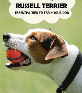 All About Jack Russell Terrier: Essential Tips To Train Your Dog: Things You Didn'T Know About Jack Russell Terriers