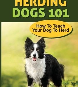 Herding Dogs 101: How To Teach Your Dog To Herd: What Is A Herding Dogs