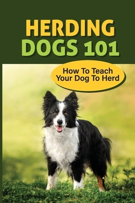 Herding Dogs 101: How To Teach Your Dog To Herd: What Is A Herding Dogs