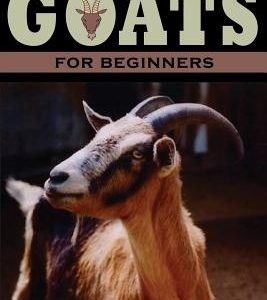 A Guide to Goats for Beginners