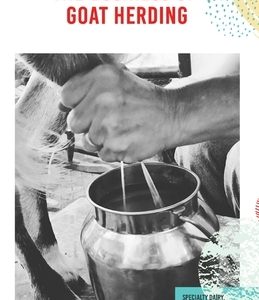 The Business of Goat Herding: Specialty Dairy, Natural Herd Health, + More