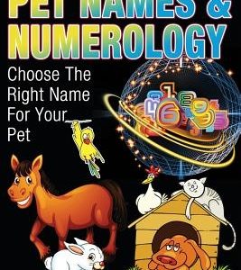 Pet Names and Numerology: Choose the Right Name for Your Pet
