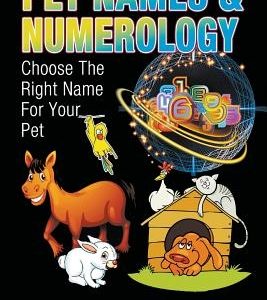 Pet Names and Numerology: Choose the Right Name for Your Pet