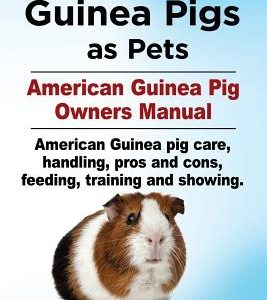 American Guinea Pigs as Pets. American Guinea Pig Owners Manual. American Guinea pig care, handling, pros and cons, feeding, training and showing.