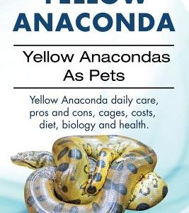 Yellow Anaconda. Yellow Anacondas As Pets. Yellow Anaconda daily care, pro's and cons, cages, costs, diet, biology and health.