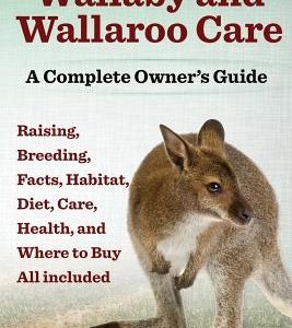 Wallaby and Wallaroo Care. Raising, Breeding, Facts, Habitat, Diet, Care, Health, and Where to Buy All Included. a Complete Owner's Guide
