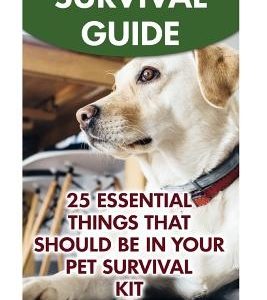 Survival Guide: 25 Essential Things That Should Be In Your Pet Survival Kit
