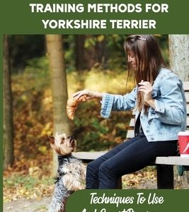 Easy Tips And Training Methods For Yorkshire Terrier: Techniques To Use And Smart Program: Steps In Training Your Yorkshire Terrier