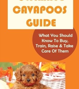 Ultimate Cavapoos Guide: What You Should Know To Buy, Train, Raise & Take Care Of Them: Cavapoo Living Needs