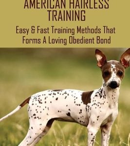 Guide On American Hairless Training: Easy & Fast Training Methods That Forms A Loving Obedient Bond: How Do You Take Care Of An American Hairless Terr