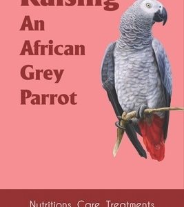 Raising An African Grey Parrot: Nutritions, Care, Treatments And More: Talking And Training For African Grey Parrots