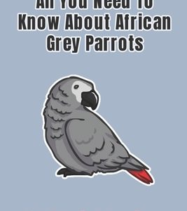 All You Need To Know About African Grey Parrots: Nutrition, Training, Care, Diseases, And Treatme: African Grey Parrots Behaving Training
