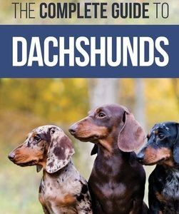 The Complete Guide to Dachshunds: Finding, Feeding, Training, Caring For, Socializing, and Loving Your New Dachshund Puppy