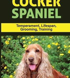 Cocker Spaniel: Temperament, Lifespan, Grooming, Training: How To Train A Cocker Spaniel Not To Bark