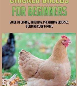 Chicken Breeds For Beginners: Guide To Caring, Hatching, Preventing Diseases, Building Coop & More: Modern Methods Of Chicken Production