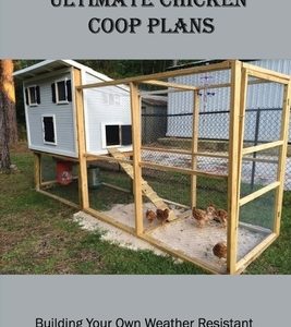 Ultimate Chicken Coop Plans: Building Your Own Weather Resistant Chicken Coop For Backyard Chickens: The Feeding And Drinking Place In The Chicken