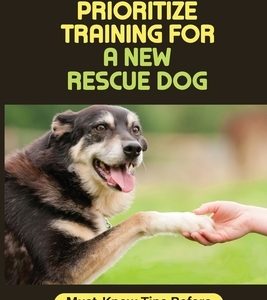 How To Prioritize Training For A New Rescue Dog: Must-Know Tips Before Adopting A Rescue Dog: Bonding With Your Rescue Dog