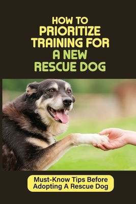 How To Prioritize Training For A New Rescue Dog: Must-Know Tips Before Adopting A Rescue Dog: Bonding With Your Rescue Dog