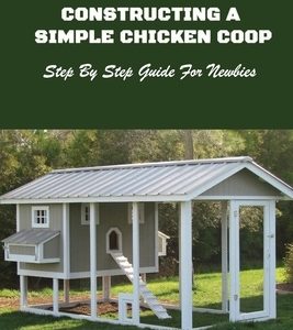 Constructing A Simple Chicken Coop: Step By Step Guide For Newbies: How To Construct A Chicken Coop