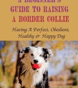 A Beginner's Guide To Raising A Border Collie: Having A Perfect, Obedient, Healthy & Happy Dog: Obedient